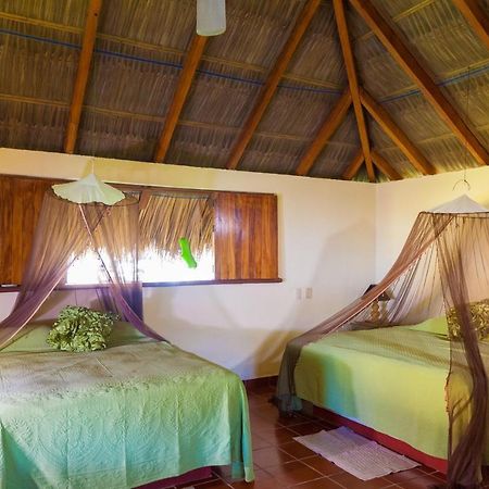 The Resort At Majahua Palms ترونكونيس المظهر الخارجي الصورة