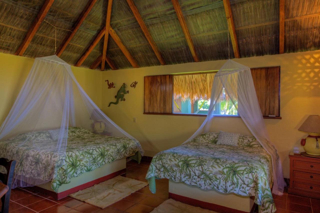 The Resort At Majahua Palms ترونكونيس المظهر الخارجي الصورة