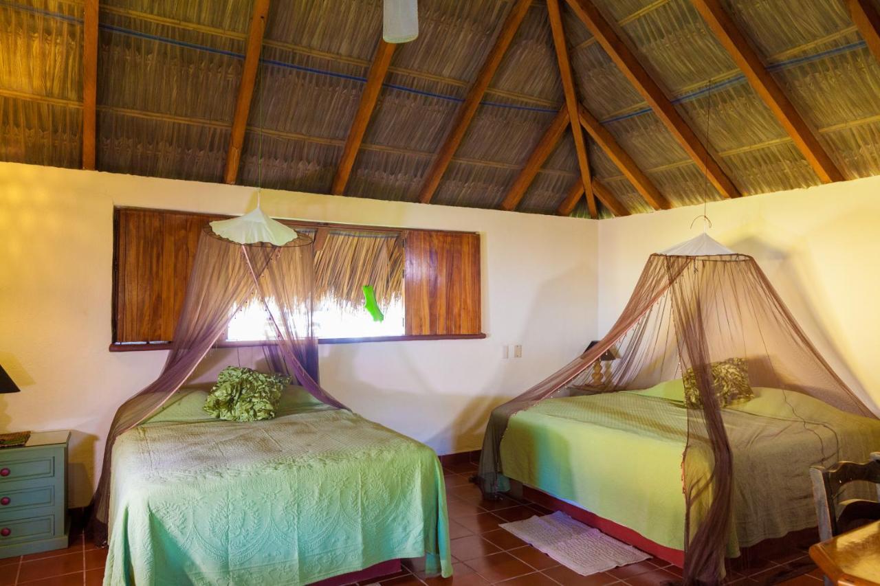 The Resort At Majahua Palms ترونكونيس المظهر الخارجي الصورة